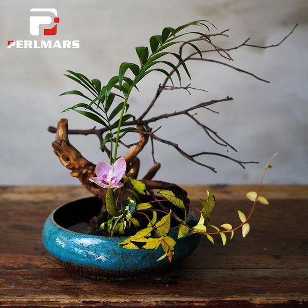 vases japanese style flower arrangement vintage ceramic pot deskvase hydroponics basin plant containers home planters decor
vases japanese style flower arrangement vintage ceramic pot deskvase hydroponics basin plant containers home planters decor