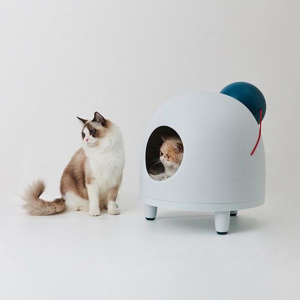 cat beds & furniture \clown's nest semi enclosed cat's four seasons universal house removable products bed cushion pet supplies
cat beds & furniture \clown's nest semi enclosed cat's four seasons universal house removable products bed cushion pet supplies