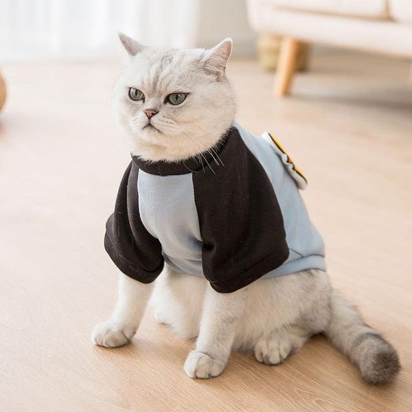 new cat costum autumn and winter cute three-dimensional chicken cartoon sweater small dog cat two legged clothes pet clothes
new cat costum autumn and winter cute three-dimensional chicken cartoon sweater small dog cat two legged clothes pet clothes