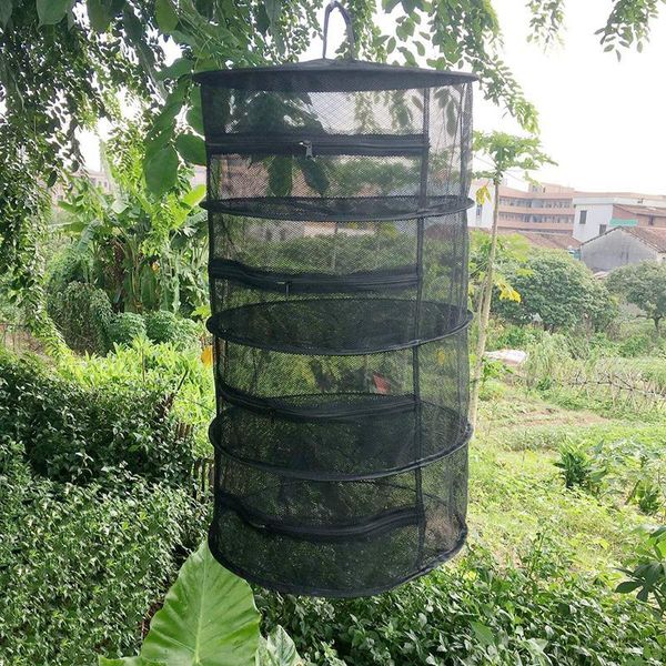 professional drying net with zippers dryer mesh tray rack flowers buds laundry storage & organization
professional drying net with zippers dryer mesh tray rack flowers buds laundry storage & organization
