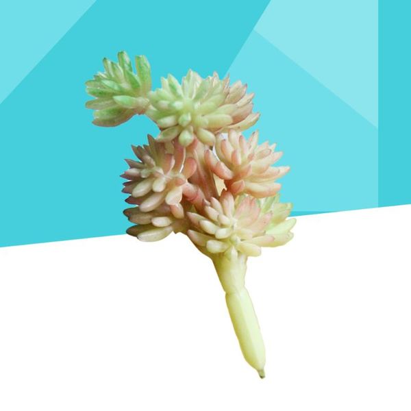 realistic artificial succulent small plants unpotted for home garden decoration (pic. 1) decorative flowers & wreaths
realistic artificial succulent small plants unpotted for home garden decoration (pic. 1) decorative flowers & wreaths