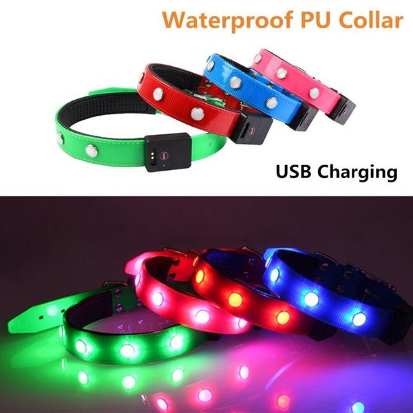est waterproof pet dog led collar usb charging puppy dogs cat glow collars safe tpu luminous necklace gem & leashes
est waterproof pet dog led collar usb charging puppy dogs cat glow collars safe tpu luminous necklace gem & leashes