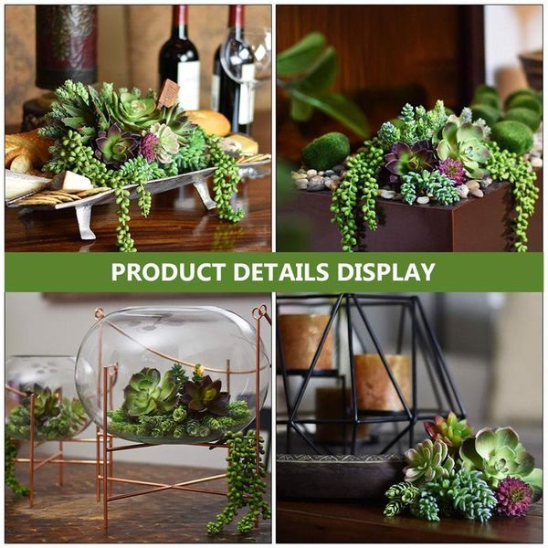 14pcs artificial plastic imitated succulents po props (green) fake plants for diy el garden decorative flowers & wreaths
14pcs artificial plastic imitated succulents po props (green) fake plants for diy el garden decorative flowers & wreaths