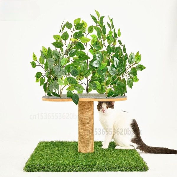 simulation branch cat climbing frame solid wood rope scratching board toys forest small pet supplies
simulation branch cat climbing frame solid wood rope scratching board toys forest small pet supplies