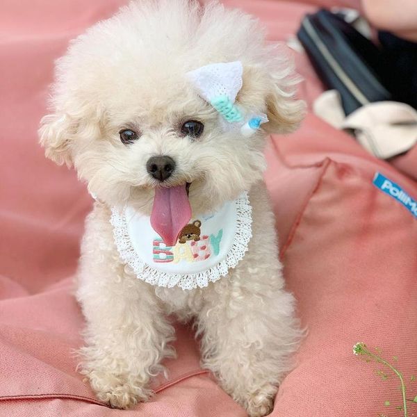 fashion adjustable dog grooming pet neck tie bowtie puppy pets bandanas collar bibs dogs accessories ropa perro apparel
fashion adjustable dog grooming pet neck tie bowtie puppy pets bandanas collar bibs dogs accessories ropa perro apparel