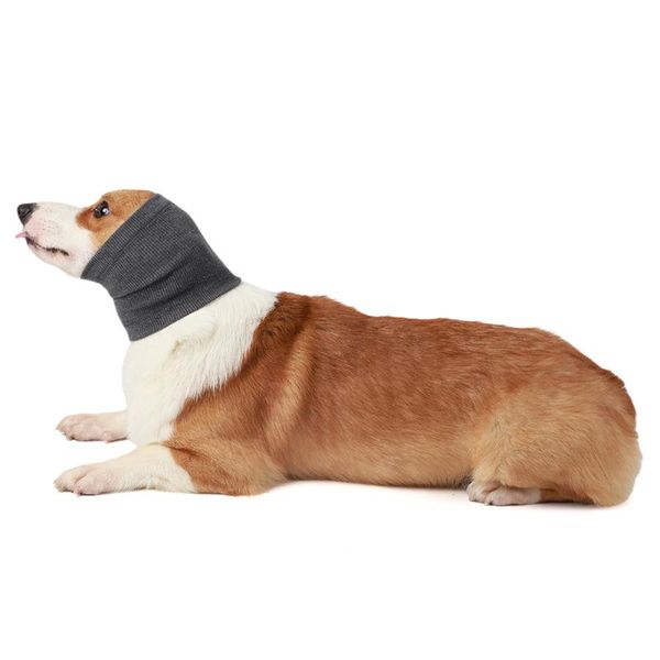dog apparel scarf pet comfort headgear hoodie to relieve anxiety dogs accessories
dog apparel scarf pet comfort headgear hoodie to relieve anxiety dogs accessories