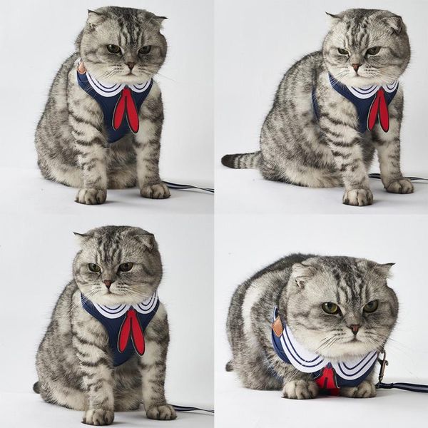 dog collars & leashes cat puppy pet harness vest and leash set for walking chest navy sailor anchor style
dog collars & leashes cat puppy pet harness vest and leash set for walking chest navy sailor anchor style