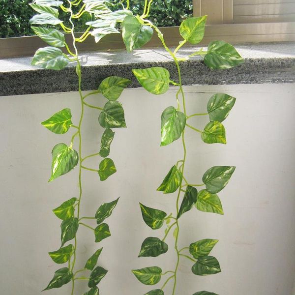 decorative flowers & wreaths 230x25cm ivy green fake leaves garland plant vine foliage home decor plastic rattan string wall artificial plan
decorative flowers & wreaths 230x25cm ivy green fake leaves garland plant vine foliage home decor plastic rattan string wall artificial plan