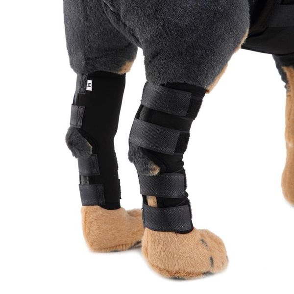 1pair pet dog cat knee joint leg protector calf brace support for avoiding injury apparel
1pair pet dog cat knee joint leg protector calf brace support for avoiding injury apparel
