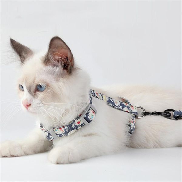 cat collars & leads 8 colors adjustable pet for cats japanese style harness and leash walking katten gotas lead collar supplies
cat collars & leads 8 colors adjustable pet for cats japanese style harness and leash walking katten gotas lead collar supplies