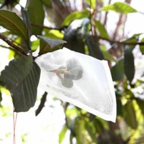 20pcs/lot garden vegetable grapes bags apples fruit protection bag pouch agricultural pest control anti-bird mesh 25 x 15cm planters & pots
20pcs/lot garden vegetable grapes bags apples fruit protection bag pouch agricultural pest control anti-bird mesh 25 x 15cm planters & pots