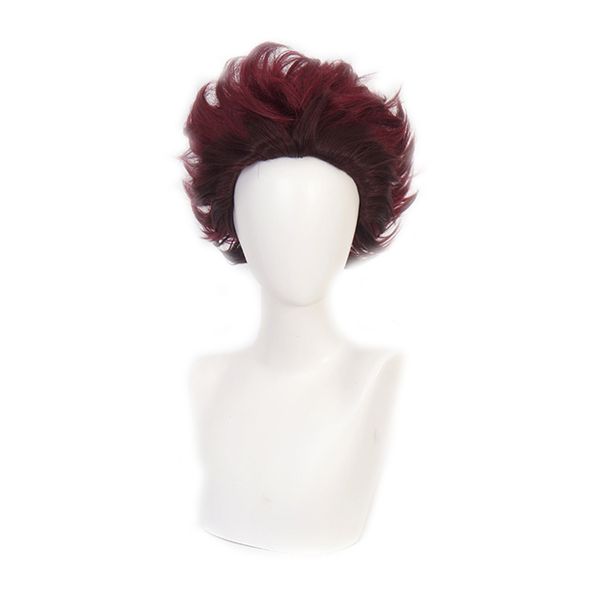 demon slayer: kimetsu no yaiba tanjiro kamado short chestnut brown heat resistant hair cosplay costume wig, Black
demon slayer: kimetsu no yaiba tanjiro kamado short chestnut brown heat resistant hair cosplay costume wig, Black
