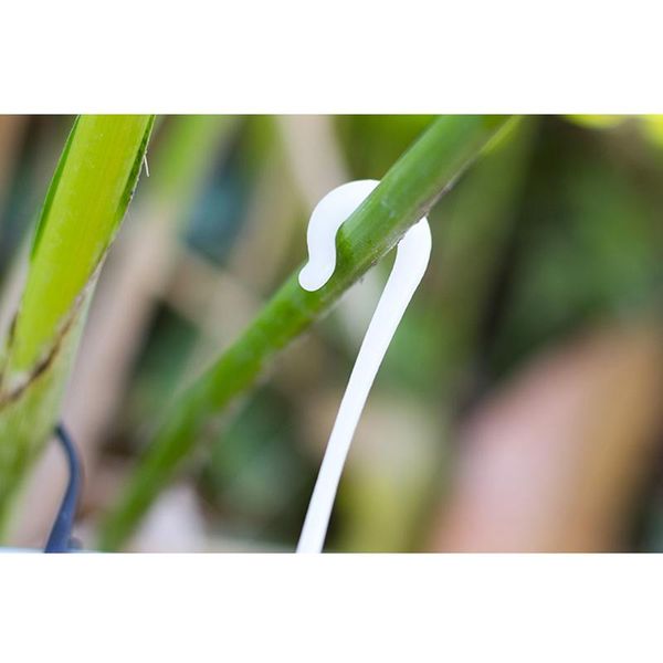 hooks & rails 50 pcs agricultural ear hook farming tomatoes greenhouse clamp fruit vegetable fix multi-purpose
hooks & rails 50 pcs agricultural ear hook farming tomatoes greenhouse clamp fruit vegetable fix multi-purpose
