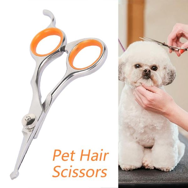 dog grooming 1pcs professional pet hair scissor stainless steel durable safety rounded tips cat cutting tools pets supplies
dog grooming 1pcs professional pet hair scissor stainless steel durable safety rounded tips cat cutting tools pets supplies
