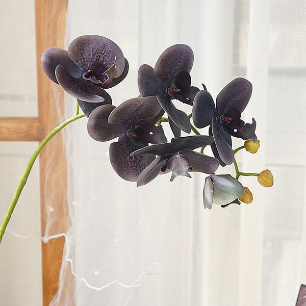 decorative flowers & wreaths black grey orchid branch living room decoration artificial real touch plastic house decor mom gifts
decorative flowers & wreaths black grey orchid branch living room decoration artificial real touch plastic house decor mom gifts