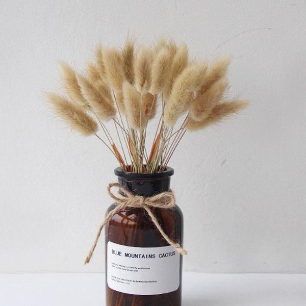 decorative flowers & wreaths 30pcs natural dried flower tail plants floral grass bouquet home decoration accessories pography p
decorative flowers & wreaths 30pcs natural dried flower tail plants floral grass bouquet home decoration accessories pography p