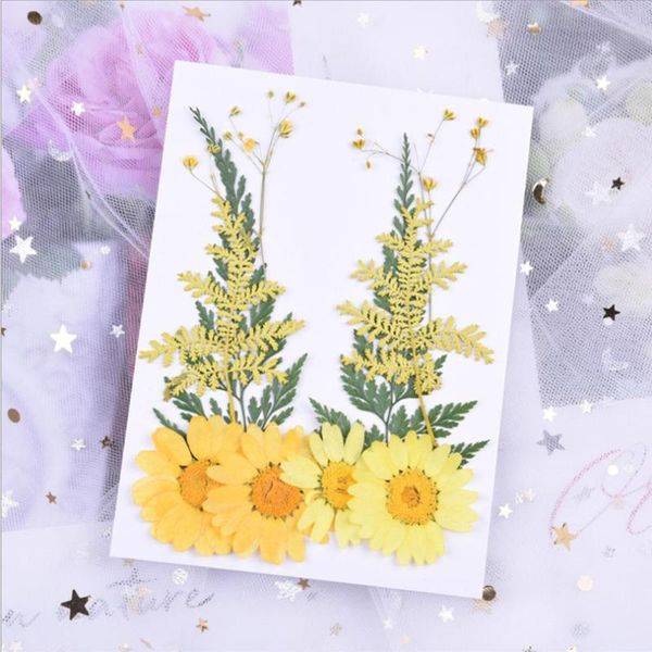 decorative flowers & wreaths diy multi-style dried daisy uv resin mold filling artificial flower for manicure nails art pressed home decor h
decorative flowers & wreaths diy multi-style dried daisy uv resin mold filling artificial flower for manicure nails art pressed home decor h