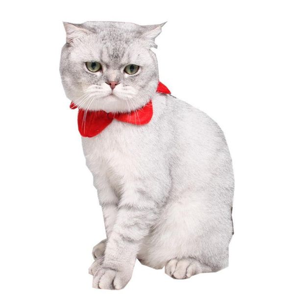 cat costumes collar elastic star shape puppy neck cone pet party for christmas costume bandana accessories
cat costumes collar elastic star shape puppy neck cone pet party for christmas costume bandana accessories