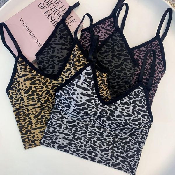 camisoles & tanks chrleisure fashion leopard female women's tube elastic push up underwear women, Black;white
camisoles & tanks chrleisure fashion leopard female women's tube elastic push up underwear women, Black;white