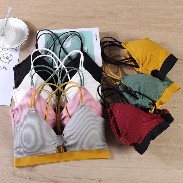 sports bra female athletic gym yoga women breathable anti-sweat shockproof padded running fitness workout crop outfit
sports bra female athletic gym yoga women breathable anti-sweat shockproof padded running fitness workout crop outfit