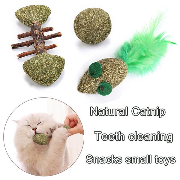 cat toys catnip for edible ball fish and mouse healthy cats mint cleaning teeth stomach kitten little toy product
cat toys catnip for edible ball fish and mouse healthy cats mint cleaning teeth stomach kitten little toy product