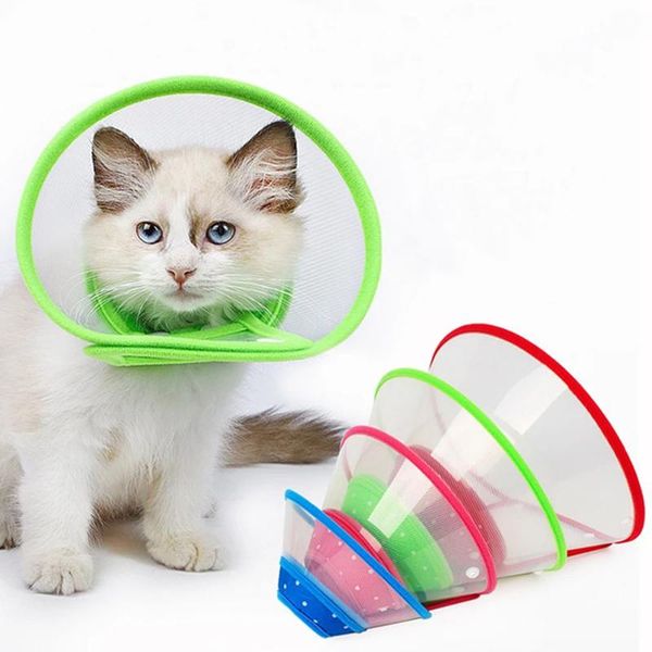 cat collars & leads pets cone e-collar for cats small dogs adjustable lightweight elizabethan collar puppies kitten protective recovery
cat collars & leads pets cone e-collar for cats small dogs adjustable lightweight elizabethan collar puppies kitten protective recovery