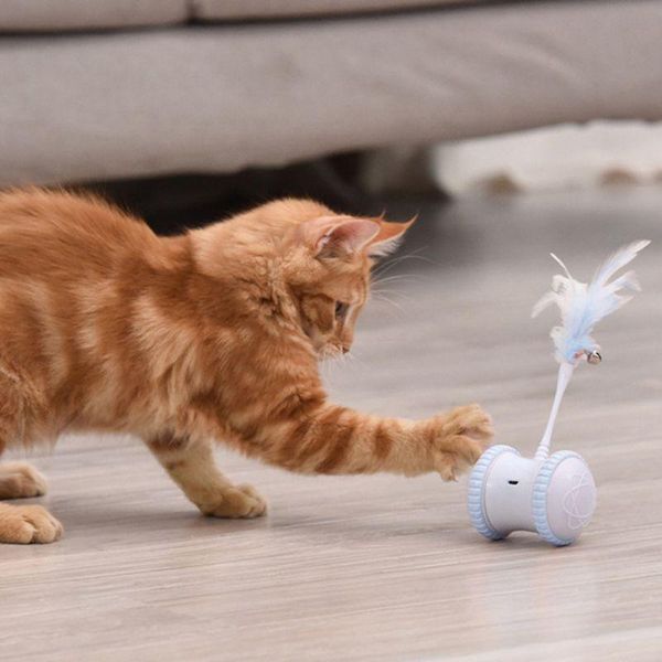 cat toys interactive robotic toy ball automatic usb 360 degree irregular self rotating kitten feathers with light
cat toys interactive robotic toy ball automatic usb 360 degree irregular self rotating kitten feathers with light