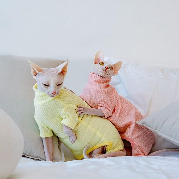 cat costumes hairless autumn and winter clothes sphinx thick soft skin-friendly comfortable durable
cat costumes hairless autumn and winter clothes sphinx thick soft skin-friendly comfortable durable