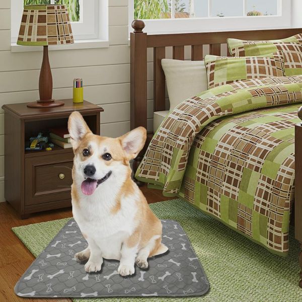 kennels & pens reusable pet pee pad washable dog urine 3 layer absorbent cat diaper mat bone waterproof cartoon print puppy nappies
kennels & pens reusable pet pee pad washable dog urine 3 layer absorbent cat diaper mat bone waterproof cartoon print puppy nappies