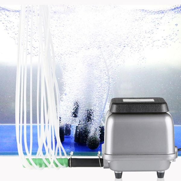 air pumps & accessories sunsun atmospheric aeration pump, fish tank, silent oxygen pump seafood pond farming selling
air pumps & accessories sunsun atmospheric aeration pump, fish tank, silent oxygen pump seafood pond farming selling