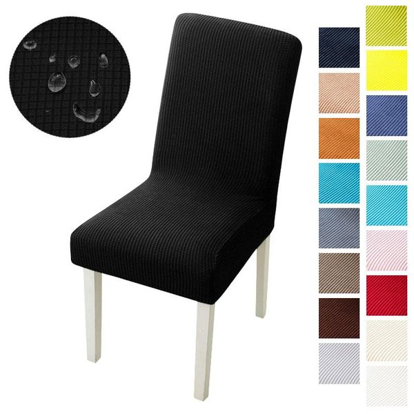 chair covers elastic corn kernel cover simple fabric household thickened fleece waterproof for kitchen dining room banquet
chair covers elastic corn kernel cover simple fabric household thickened fleece waterproof for kitchen dining room banquet