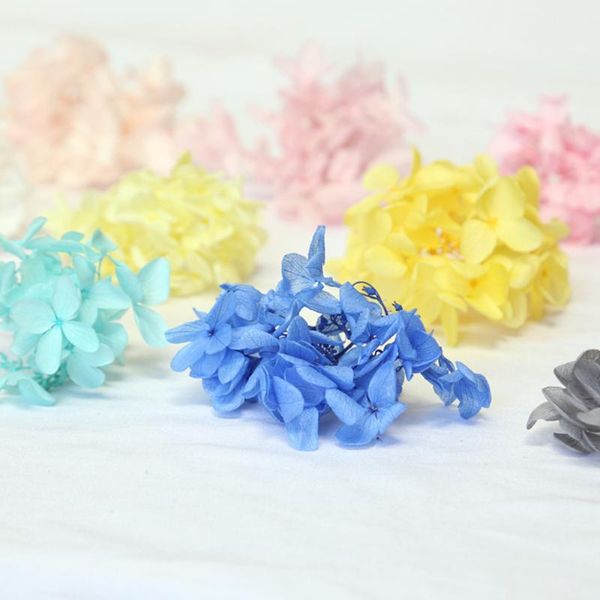 decorative flowers & wreaths 10-20g/lot natural fresh preserved hydrangea flower head for diy real eternal
decorative flowers & wreaths 10-20g/lot natural fresh preserved hydrangea flower head for diy real eternal