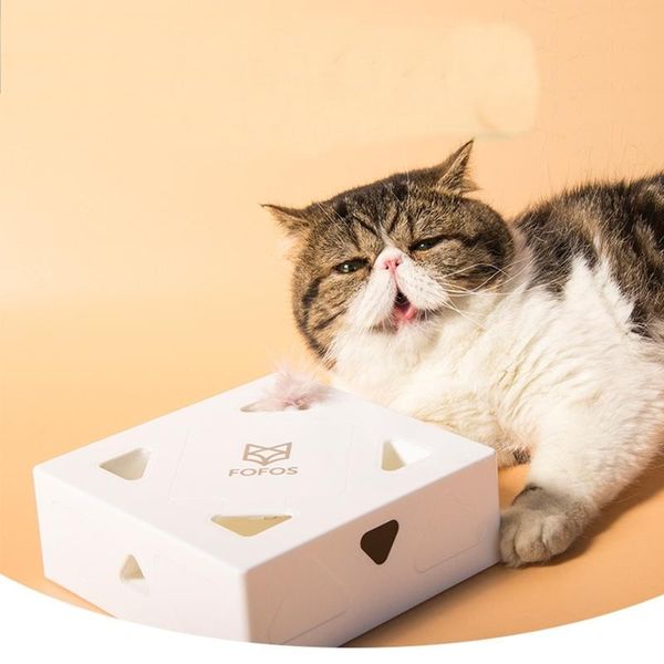cat toys hunt electric square magic box smart teasing stick crazy game interactive feather toy kitten catching mouse
cat toys hunt electric square magic box smart teasing stick crazy game interactive feather toy kitten catching mouse