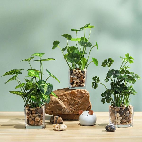decorative flowers & wreaths simulation plant ornaments green plants artificial real touch four leaf clover natural 25x6.5cm home grass plas
decorative flowers & wreaths simulation plant ornaments green plants artificial real touch four leaf clover natural 25x6.5cm home grass plas