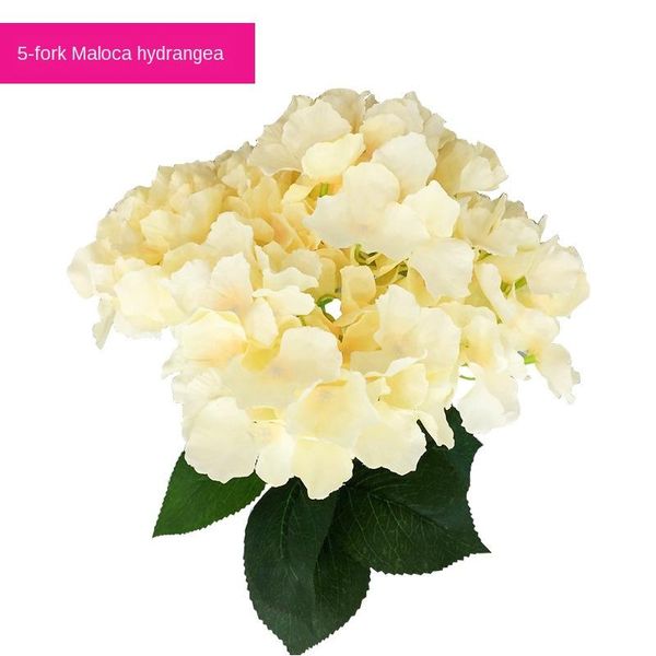 decorative flowers & wreaths home decoration 5 fork mallorca hydrangea simulation flower studio wedding 10 pack
decorative flowers & wreaths home decoration 5 fork mallorca hydrangea simulation flower studio wedding 10 pack