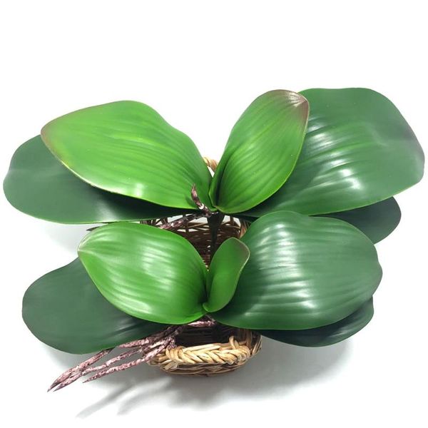 decorative flowers & wreaths 2021 artificial flower orchid leavespu gluing texture leaves diy potted arrangements
decorative flowers & wreaths 2021 artificial flower orchid leavespu gluing texture leaves diy potted arrangements