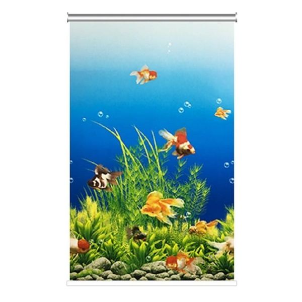 blinds stores enrouleur blackout shades volet roulant percianas rolgordijnen estores enrollables para ventanas cortinas roller
blinds stores enrouleur blackout shades volet roulant percianas rolgordijnen estores enrollables para ventanas cortinas roller