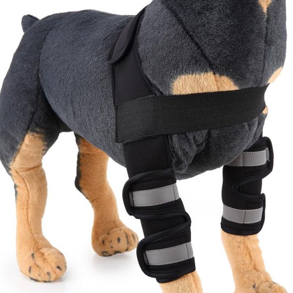 set dog elbow protector sleeve pad canine leg hock joint protection wounds with bandage wrap heals sprains helps apparel
set dog elbow protector sleeve pad canine leg hock joint protection wounds with bandage wrap heals sprains helps apparel