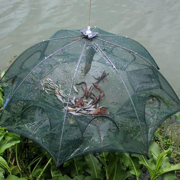 fishing accessories 8 holes outdoor durable portable folded folding bait trap crawdad shrimp crab dip cage net for tools
fishing accessories 8 holes outdoor durable portable folded folding bait trap crawdad shrimp crab dip cage net for tools