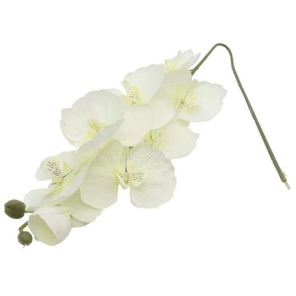 70cm artificial flowers bouquet real touch silk butterfly orchid flower for wedding decoration home garden supplies fake decorative & wreath
70cm artificial flowers bouquet real touch silk butterfly orchid flower for wedding decoration home garden supplies fake decorative & wreath