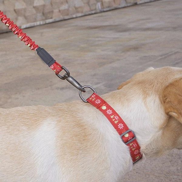 in 1 cute cartoon pet collars puppy adjustable necklace lovely print cat dog control training walking leashes &
in 1 cute cartoon pet collars puppy adjustable necklace lovely print cat dog control training walking leashes &