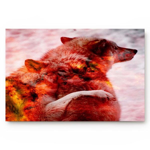 cushion/decorative pillow animal wolf red snuggle bathroom kitchen living room carpet doormat home decor non-slip floor mat
cushion/decorative pillow animal wolf red snuggle bathroom kitchen living room carpet doormat home decor non-slip floor mat