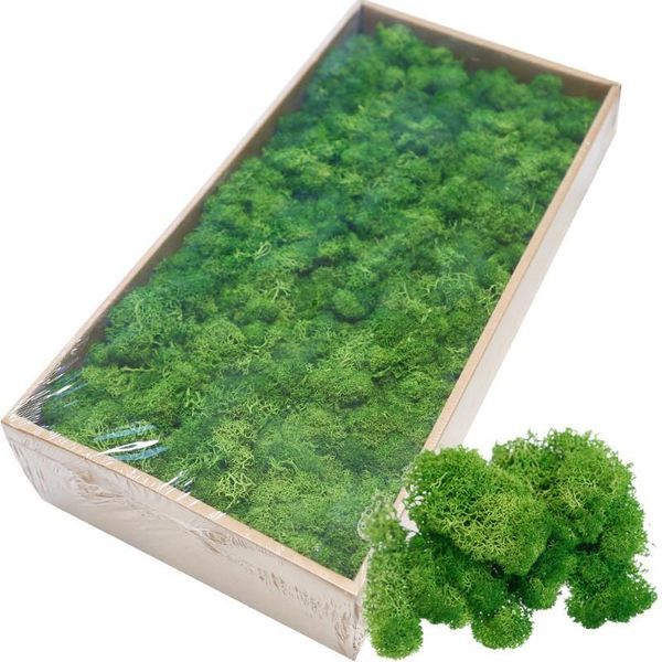 20g piante artificial green plant immortal fake flower moss grass home living room decorative wall diy mini accessories flowers & wreaths
20g piante artificial green plant immortal fake flower moss grass home living room decorative wall diy mini accessories flowers & wreaths