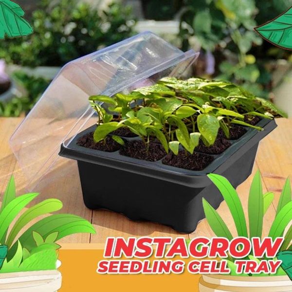 cells hole plant seeds grow box gardening hydroponics systems tray insert propagation seeding nursery pot garden indoor planters & pots
cells hole plant seeds grow box gardening hydroponics systems tray insert propagation seeding nursery pot garden indoor planters & pots