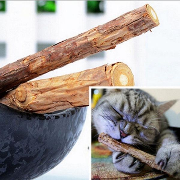 cat toys 5pcs pet cleaning teeth catnip molar toothpaste stick silvervine actinidia fruit matatabi sticks
cat toys 5pcs pet cleaning teeth catnip molar toothpaste stick silvervine actinidia fruit matatabi sticks