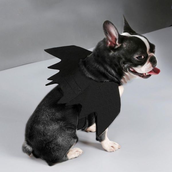 cat costumes funny cute pet costume cosplay bat wings for halloween clothes fancy dress dogs cats playing accessories
cat costumes funny cute pet costume cosplay bat wings for halloween clothes fancy dress dogs cats playing accessories