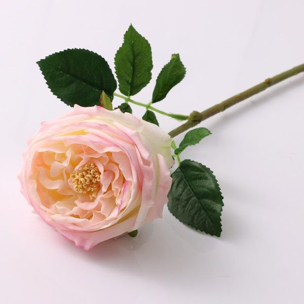 decorative flowers & wreaths 4pcs artificial decoration austin rose feel moisturizing latex fake roses for home decor wedding bridal holding
decorative flowers & wreaths 4pcs artificial decoration austin rose feel moisturizing latex fake roses for home decor wedding bridal holding