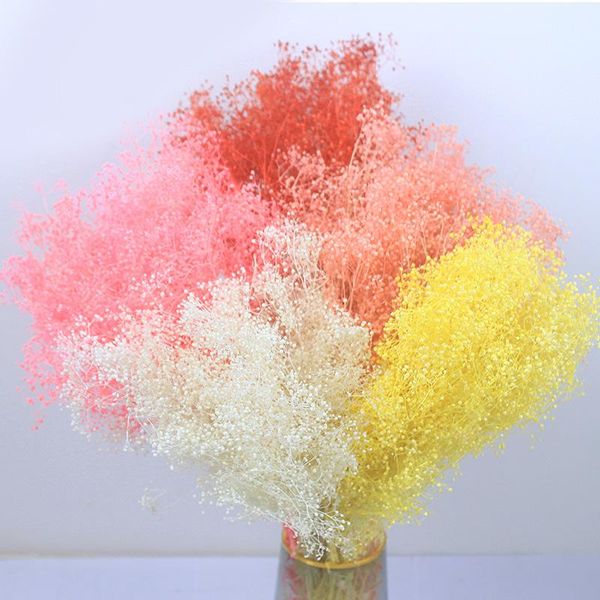 decorative flowers & wreaths mini baby breath wedding marriage decoration gypsophila flower preserved natural dried for home living room
decorative flowers & wreaths mini baby breath wedding marriage decoration gypsophila flower preserved natural dried for home living room