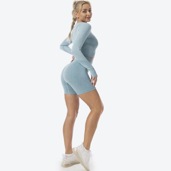 high waist flex seamless yoga set sport cycling shorts+gym workout clothes long sleeve fitness crop suit 2pcs outfit
high waist flex seamless yoga set sport cycling shorts+gym workout clothes long sleeve fitness crop suit 2pcs outfit