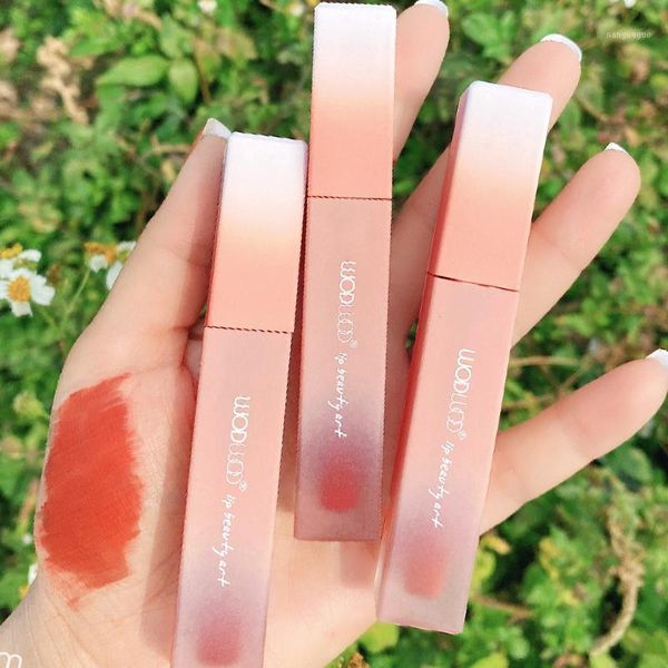 honey peach soft velvet lip glaze matte mud lasting waterproof easy to wear natural makeup brighten cosmetics1
honey peach soft velvet lip glaze matte mud lasting waterproof easy to wear natural makeup brighten cosmetics1